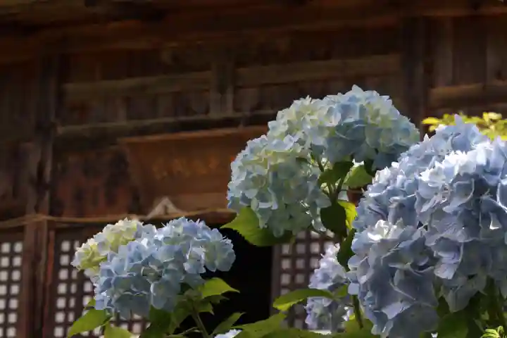 国宝 大法寺の自然