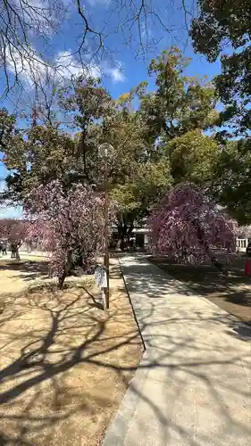 屯倉神社(大阪府)