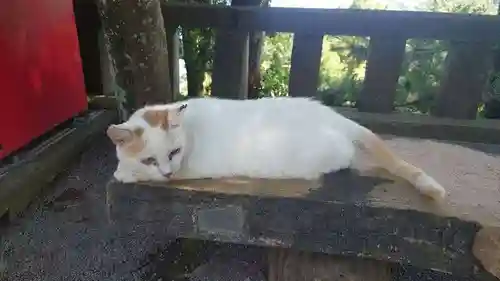 伊豆山神社(静岡県)