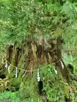 御岩神社の自然