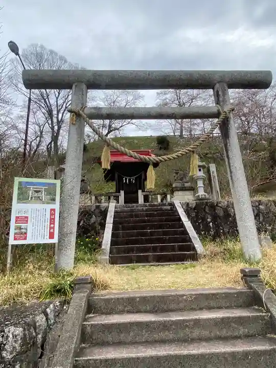 たばこ神社の鳥居