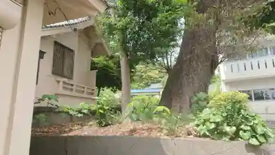 八面神社の自然