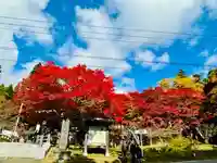 土津神社|こどもと出世の神さま(福島県)