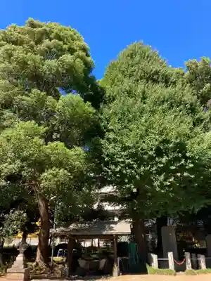 前原御嶽神社(千葉県)