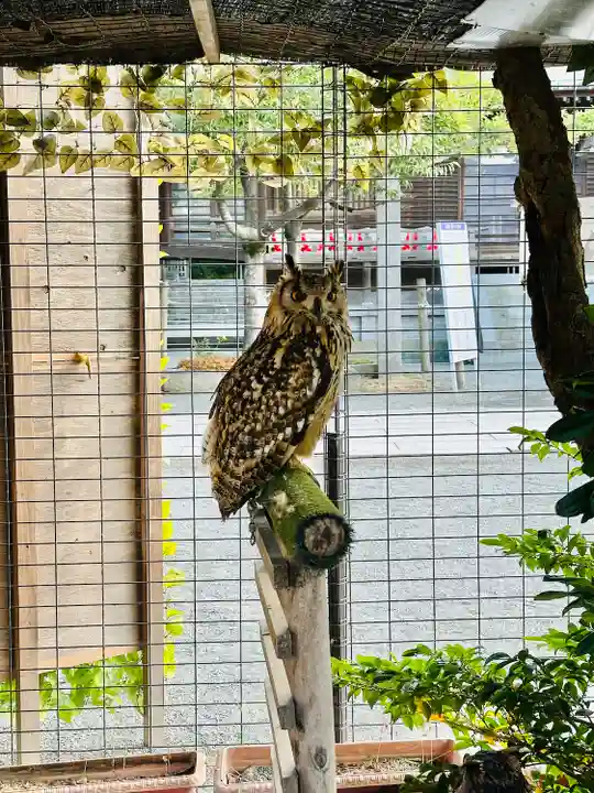 宮地嶽神社(福岡県)