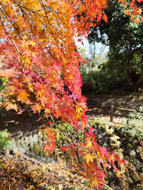 根来寺(和歌山県)