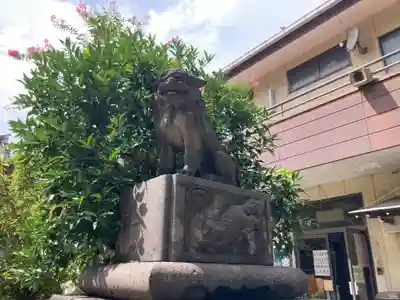 若宮八幡宮 の狛犬
