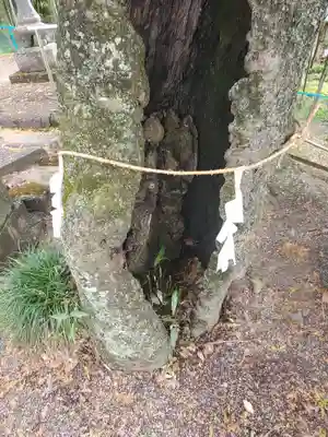 小梥神社(栃木県)