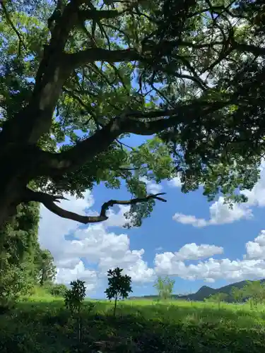 大井神社（太郎神社）(茨城県)