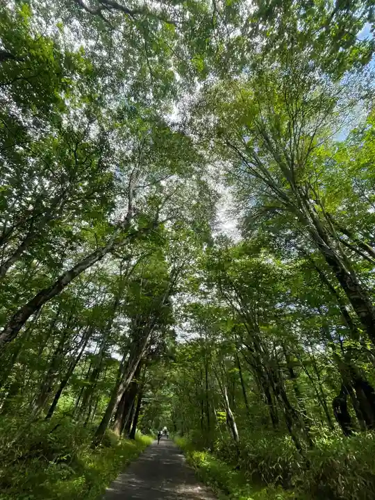 戸隠神社奥社の周辺
