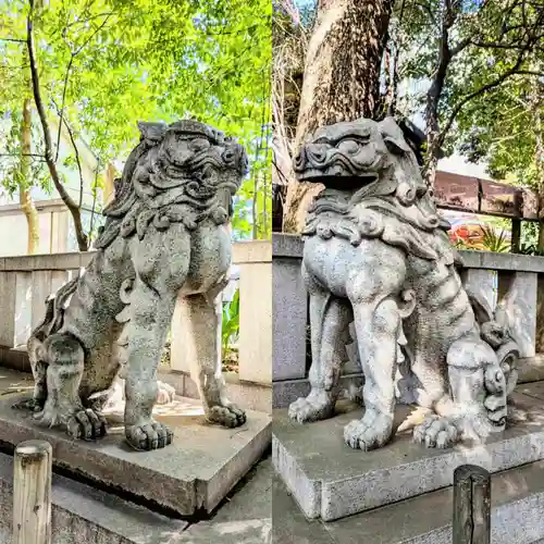 渋谷氷川神社の狛犬