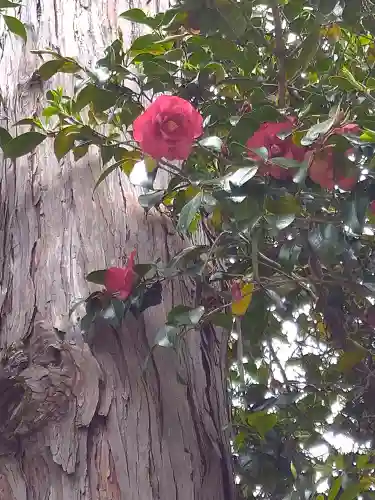 由加神社（和気由加神社）の自然