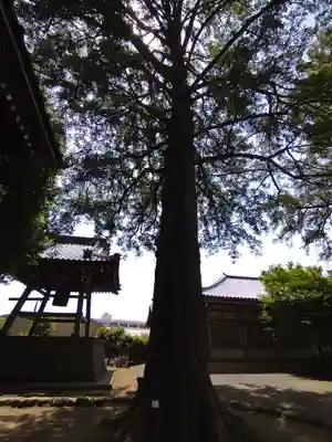 慶元寺(東京都)