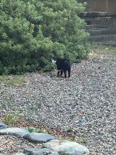 岩手護國神社(岩手県)