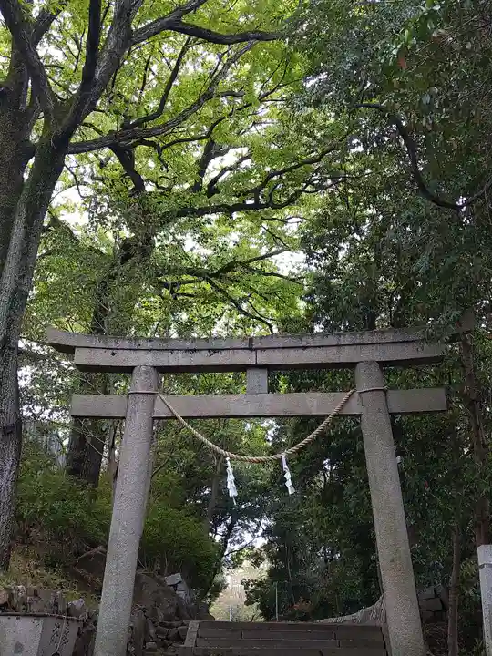 阿智神社の鳥居