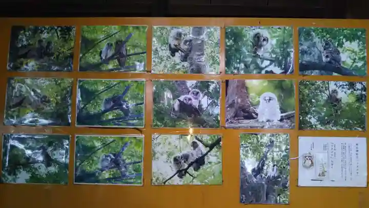 野木神社のその他建物