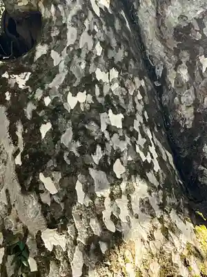 花山院菩提寺(兵庫県)
