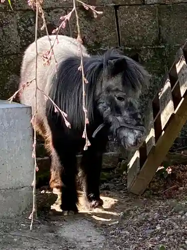大石神社の動物