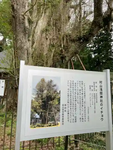 村山浅間神社の{uncategorized: "未分類", other: "その他", undefined: "問題あり", building: "その他建物", grave: "お墓", sacred_gate: "鳥居", guardian: "狛犬", statue: "像", buddha: "仏像", history: "歴史", nature: "自然", garden: "庭園", animal: "動物", pagoda: "塔", temizu: "手水舎", mountain_gate: "山門・神門", sanctuary: "本殿・本堂", subordinate: "末社・摂社", art: "芸術", scenery: "景色", jizo: "地蔵", ema: "絵馬", goshuin: "御朱印", omikuji: "おみくじ", items: "授与品その他", amulet: "お守り", goshuincho: "御朱印帳", eats: "食事", festival: "お祭り", votive_dance: "神楽", shichigosan: "七五三参", wedding: "結婚式", experience: "体験その他", initially: "初詣", around: "周辺", anti_infection: "感染症対策"}