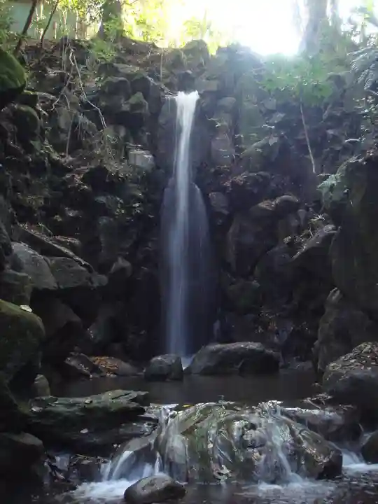 成田山新勝寺の自然