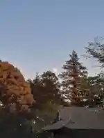 伏木香取神社の自然