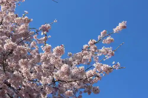 国宝 大法寺の自然