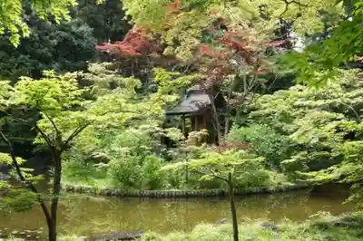 本土寺(千葉県)