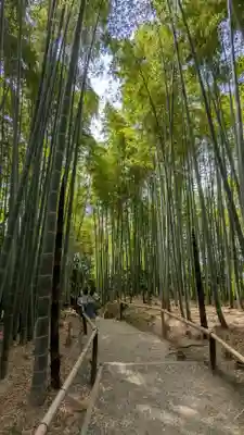 高台寺（高台寿聖禅寺・高臺寺）(京都府)