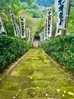 杉本寺の自然