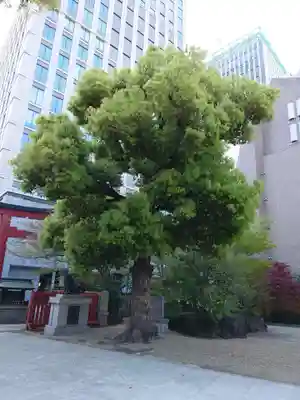 御霊神社(大阪府)