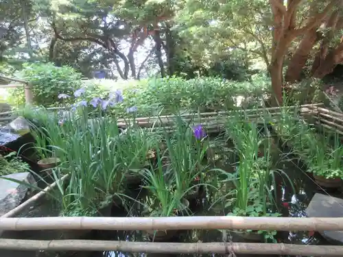 葛原岡神社(神奈川県)