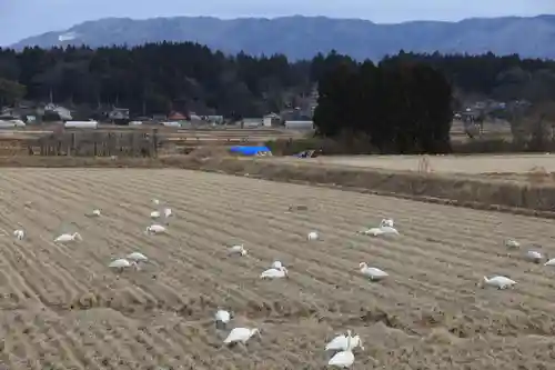 天満神社の周辺