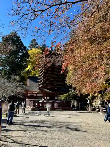 談山神社(奈良県)