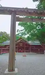 猿田彦神社の鳥居