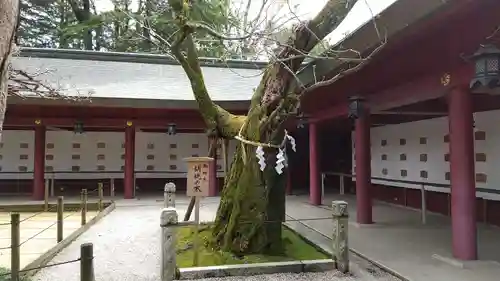 笠間稲荷神社の庭園