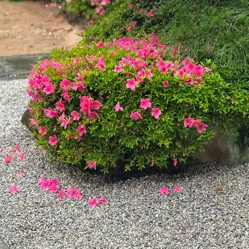 伊勢の国 四天王寺(三重県)