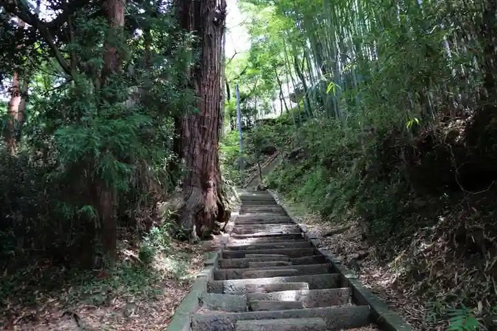 日枝神社の自然