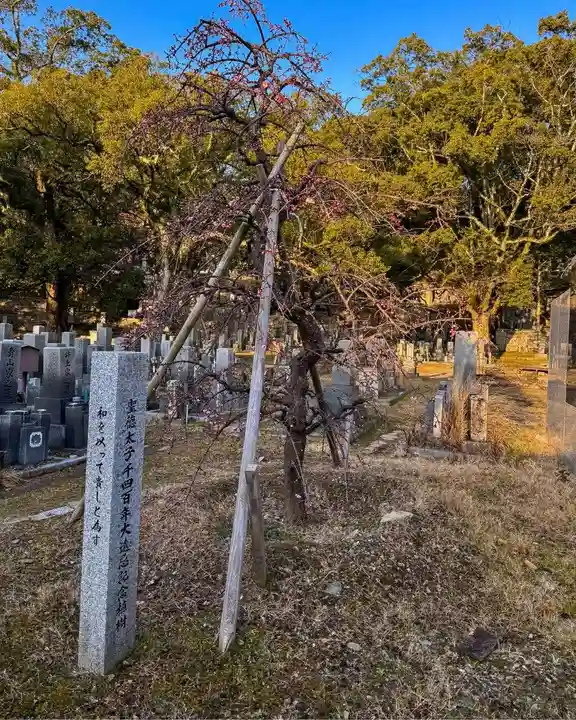 伊勢の国 四天王寺(三重県)