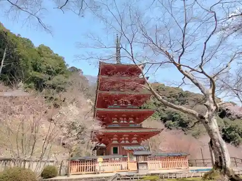 長谷寺の建物その他