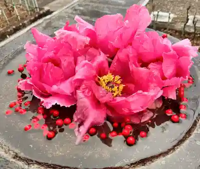 真言宗　善通寺派　薬王寺(香川県)