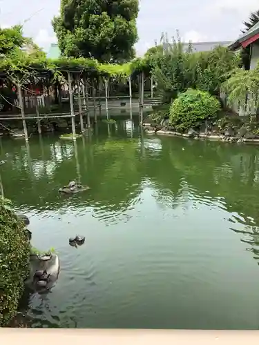 亀戸天神社の庭園