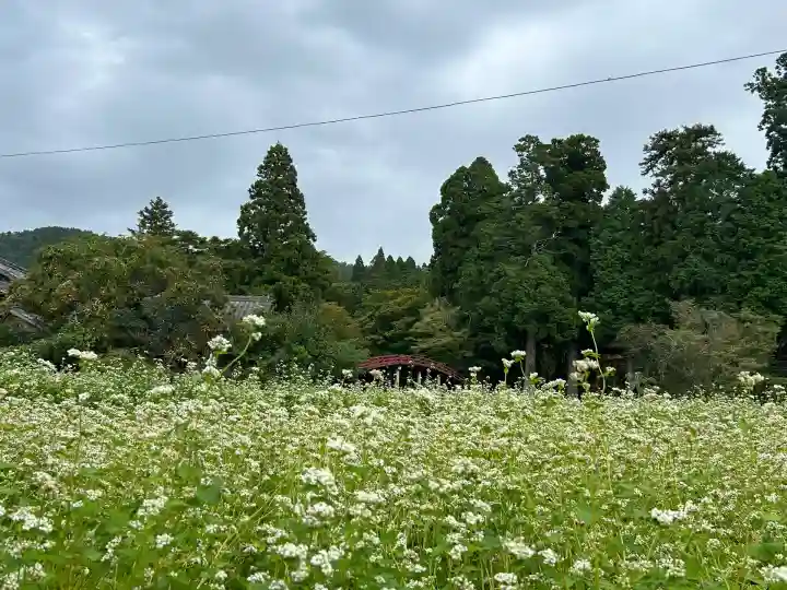 丹生都比売神社(和歌山県)