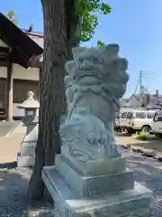 上幌向神社の狛犬