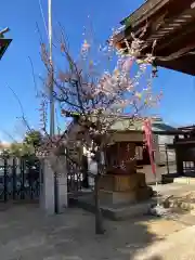 諏訪神社の自然