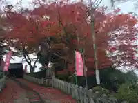 𠮷水神社(吉水神社)の自然