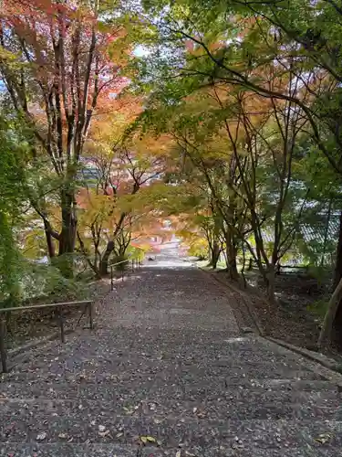 安国寺(京都府)