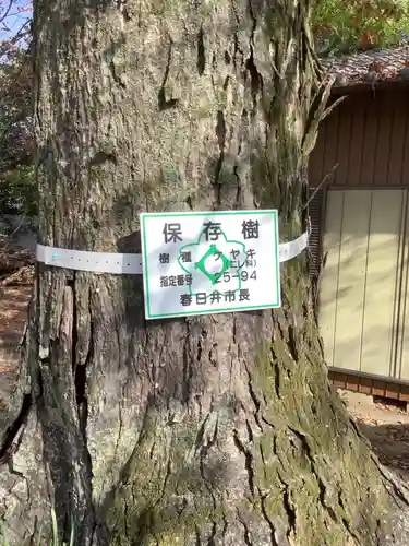 神明社（神明大明神）の自然