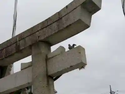 川越八幡宮の鳥居