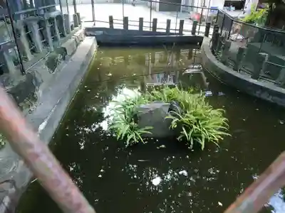海南神社(神奈川県)