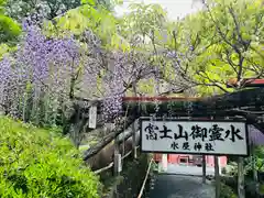 富士山本宮浅間大社(静岡県)